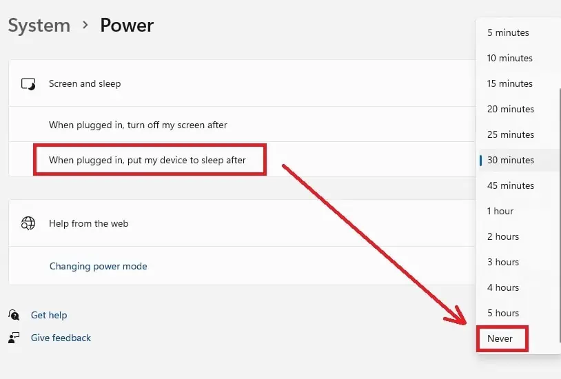 SystemPowerPutMyDeviceToSleepAfterNever