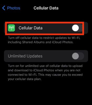 Tap on Cellular Data to enable it