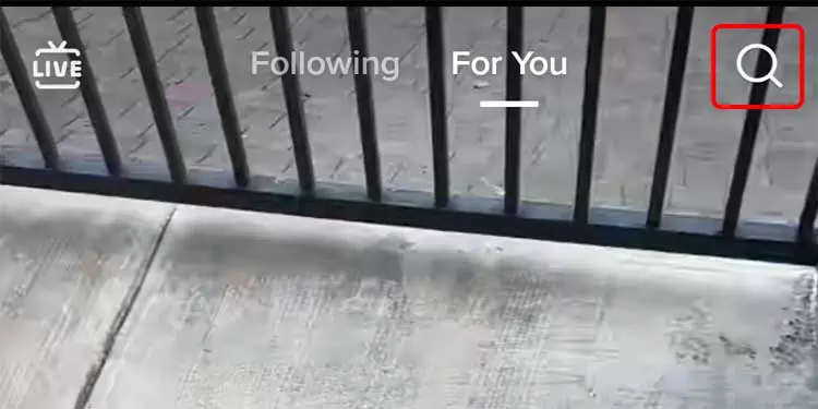 TikTok-SearchIcon-App