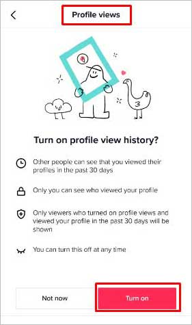 TikTok-profile-views-turn-on