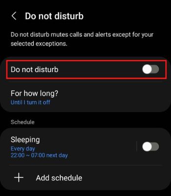 Toggle on the Do Not Disturb to enable it