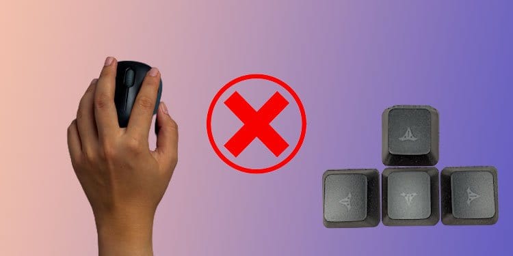 arrow keys moving mouse