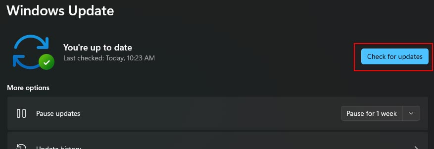 How To Fix Elden Ring Not Launching On Steam - 27