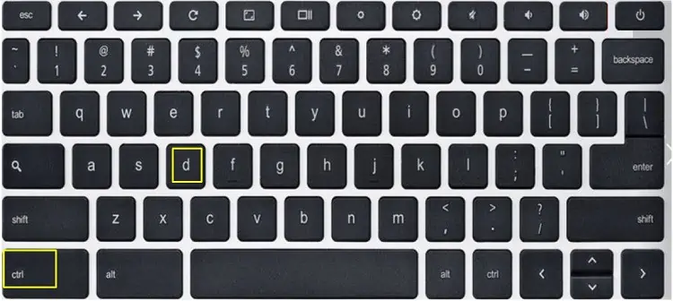 How to Fix Chromebook Keyboard (10 Proven Ways) 18 chromebook-ctrl-d