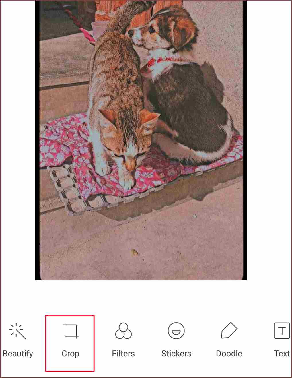 How To Stop TikTok From Zooming In On Photos  - 52