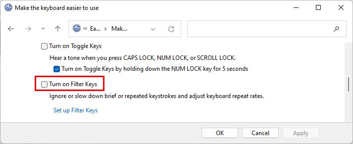 disable-filter-keys