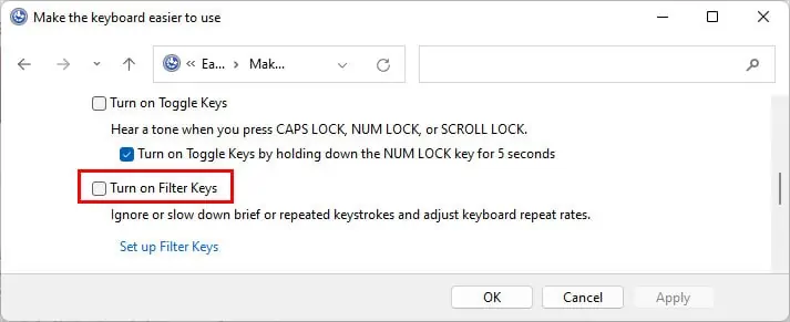 disable-filter-keys-1