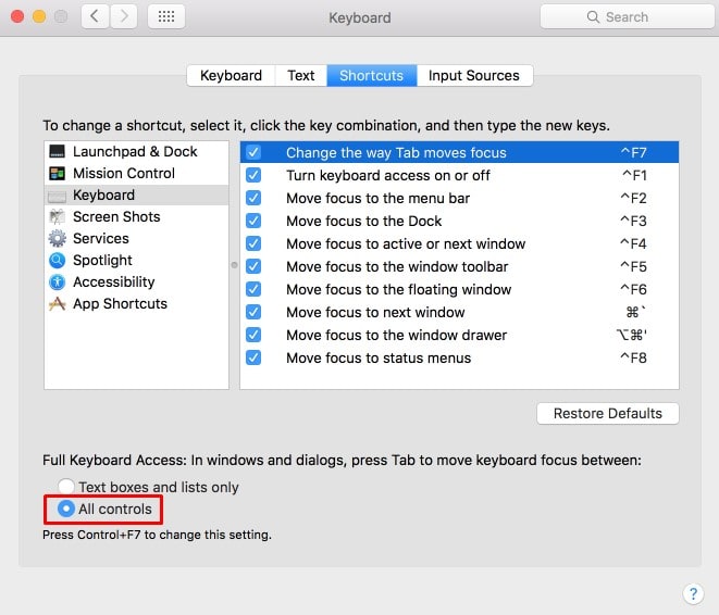 enable-full-keyboard-controls