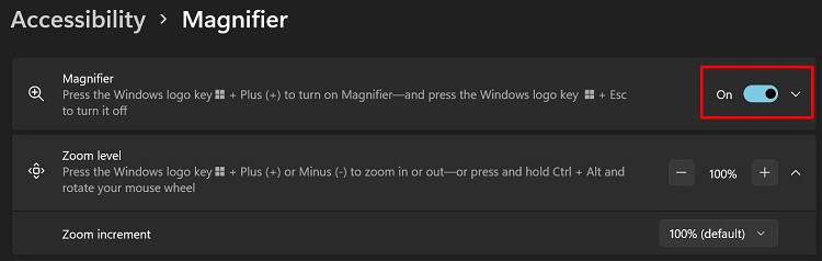 enable-magnifier-tool