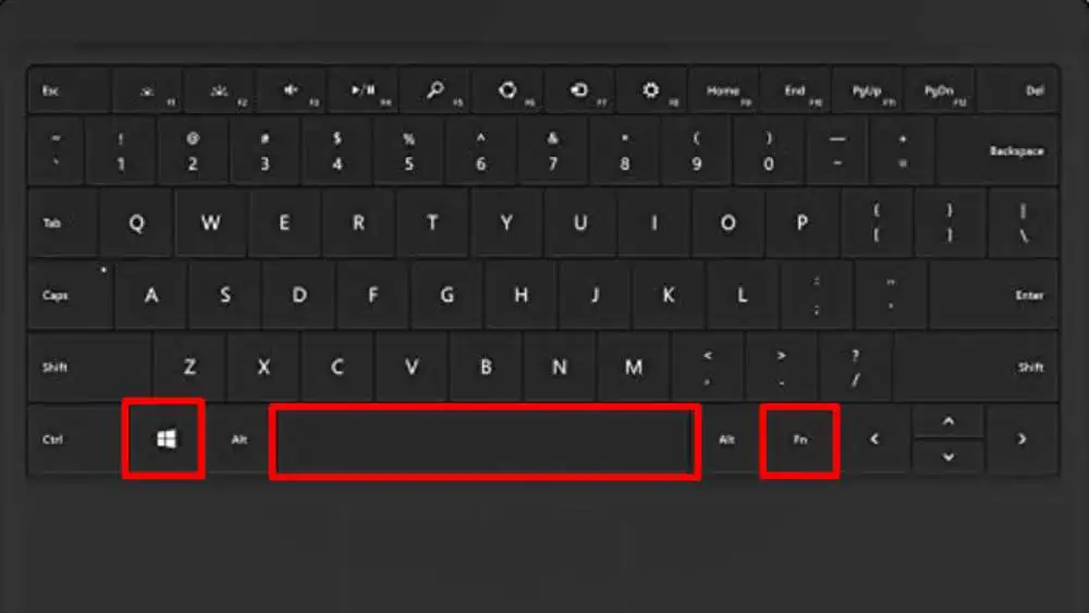 fn_windows_and_spacebar_keys_for_screenshot