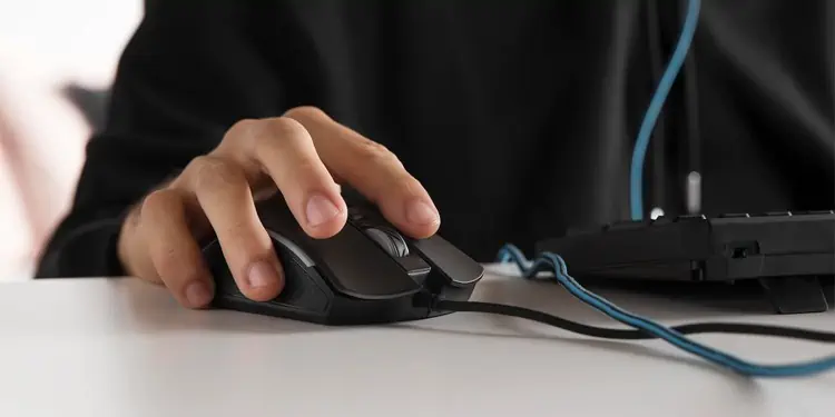 How To Hold a Mouse The Correct Way