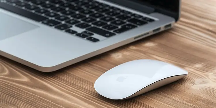 How to Factory Reset Your Magic Mouse