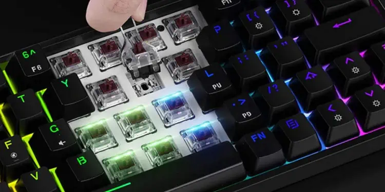 How to Know if Your Keyboard Is Hot Swappable
