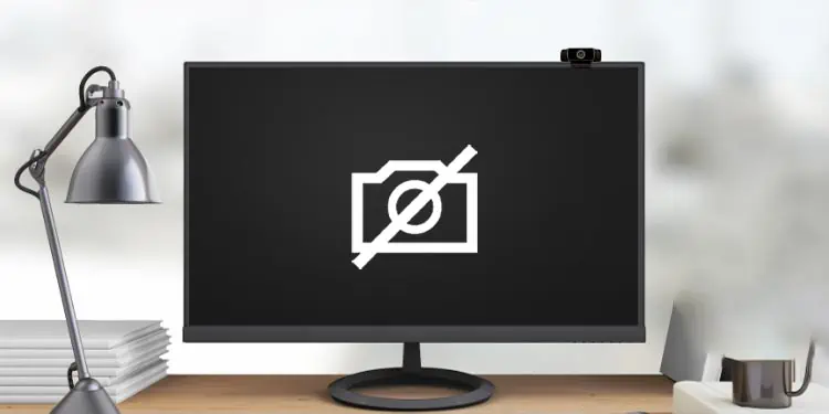 Monitor Camera Not Working? Try these 8 Fixes