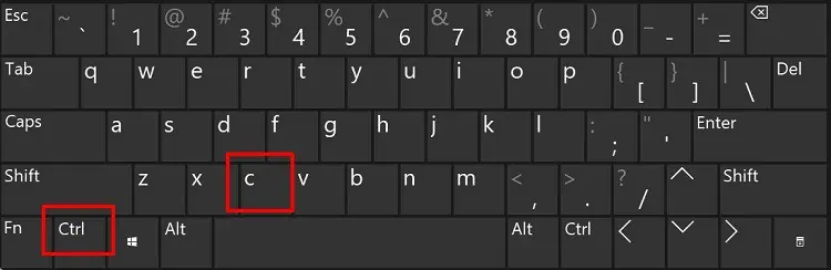 press-ctrl-c-keys