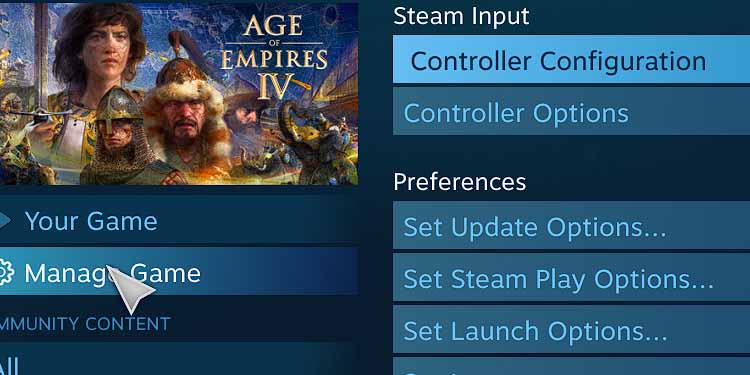 steam manage controller options 