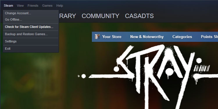 steam update client 