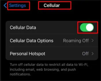 tunr-ceullar-data-on-iphone