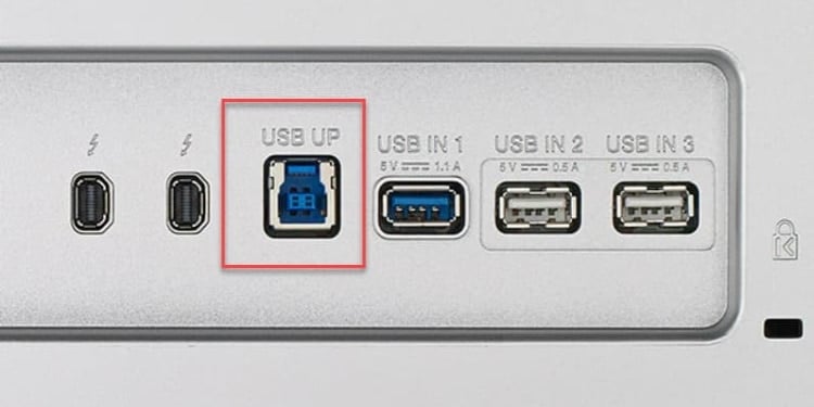 Tage en risiko fusionere århundrede How To Use USB Ports On Monitor