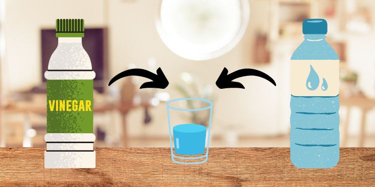 How to Clean LCD Monitor The Right Way? 4 use-white-vinegar