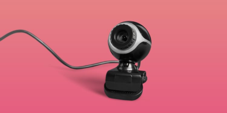 Monitor Camera Not Working? Try these 8 Fixes 2 webcam