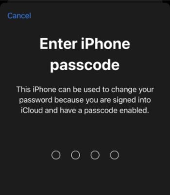 Enter your iPhone Passcode
