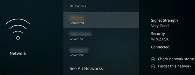 Forget-Network-on-Fire-Stick