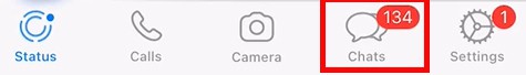 Go-to-the-Chats-section