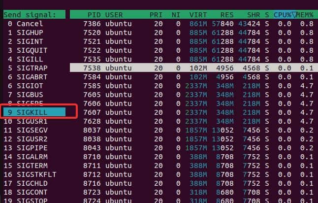 Signal kill in Linux