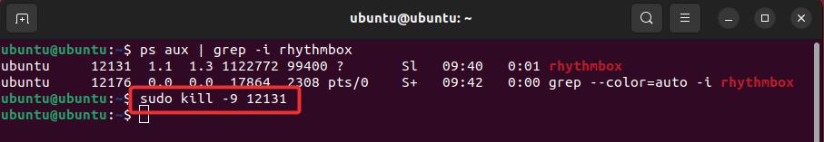 Sudo kill -9