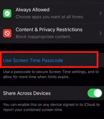 Tap on Use Screen Time Passcode