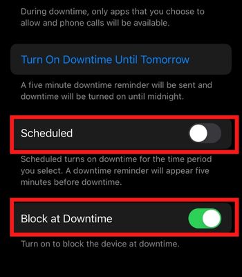 Toggle on Block at Downtime