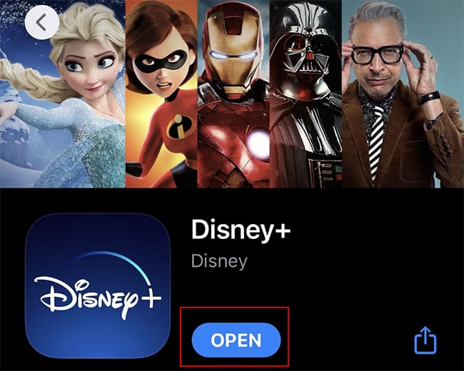 Disney Plus Subtitles Not Working   Here s How To Fix It - 67