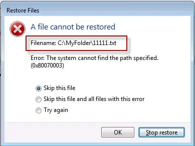 Windows Backup Not Working? Try These Fixes 13 a-file-cannot-be-restored