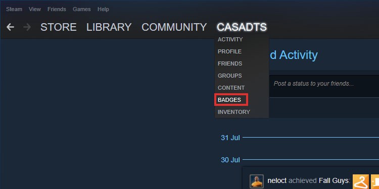 badges menu steam