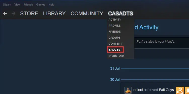 badges-menu-steam