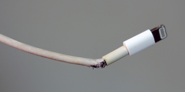 Apple Mouse Not Charging (Causes and Fixes) 2 check for physical damage