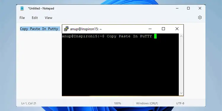 How To Copy and Paste In PuTTY Terminal