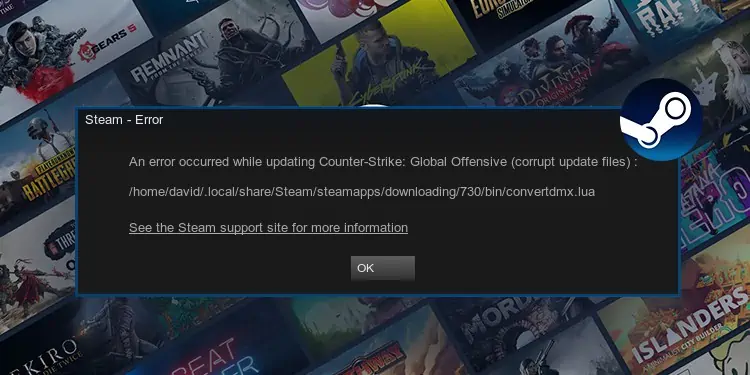 How to Fix Steam Corrupt Update Files