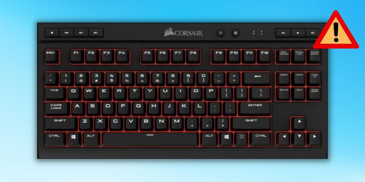 corsair keyboard not working