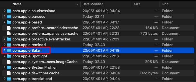 delete-safari-cache