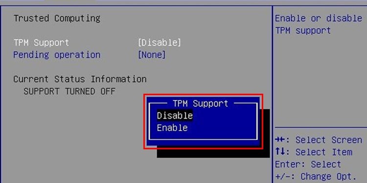 disable-tpm-support