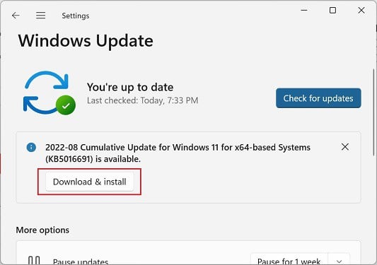 download and install windows update
