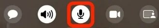 mic