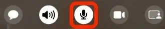 mic