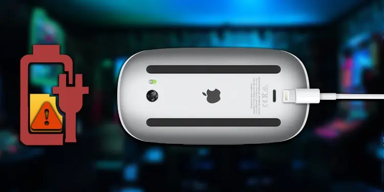 Apple Mouse Not Charging (Causes and Fixes)