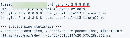 ping -c 2 8.8.8.8