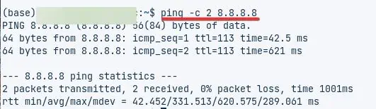 ping-c-2-8.8.8.8