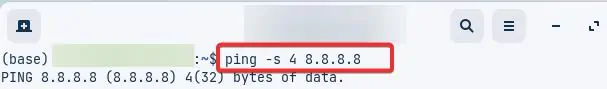 ping-s-4-8.8.8.8