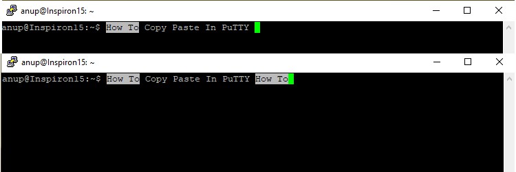 putty-copy-paste